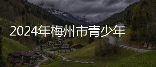 2024年梅州市青少年機(jī)器人競賽教練員和裁判員培訓(xùn)會(huì)舉行