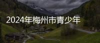 2024年梅州市青少年機(jī)器人競賽教練員和裁判員培訓(xùn)會舉行