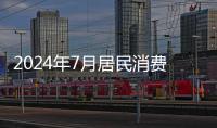 2024年7月居民消費價格漲0.5%