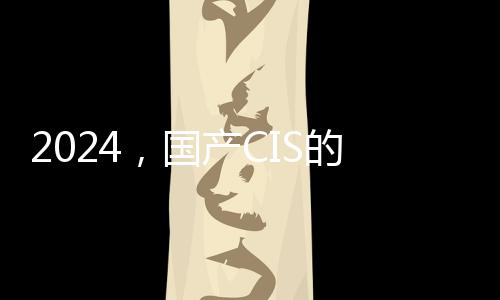 2024，國產CIS的“旗艦主攝”元年