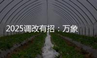 2025調改有招：萬象城/大悅城/龍湖天街“爆改術”大賞