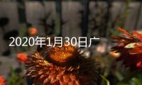 2020年1月30日廣東省新型冠狀病毒感染的肺炎疫情情況