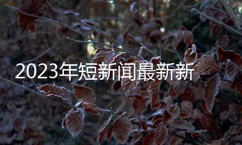 2023年短新聞最新新聞事件今天2023年10月8日