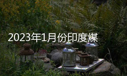 2023年1月份印度煤炭產量同比增長11.4%