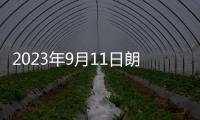 2023年9月11日朗一陶瓷成功開創“易清潔”質感磚新賽道