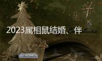 2023屬相鼠結婚、伴娘忌什么屬相答案在這，96年的要注意