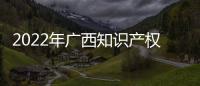 2022年廣西知識(shí)產(chǎn)權(quán)保護(hù)暨維權(quán)援助公益行活動(dòng)正式啟動(dòng)