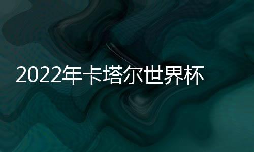 2022年卡塔爾世界杯進入決賽圈的隊伍有16場比賽