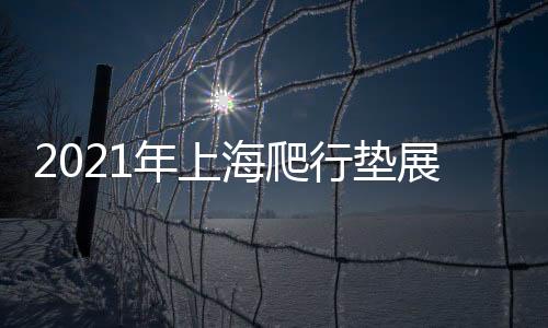 2021年上海爬行墊展