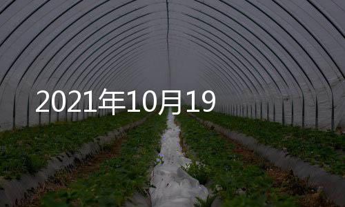 2021年10月19