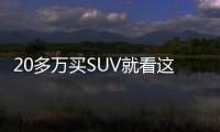 20多萬買SUV就看這5款 不信沒你要的