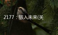 2177：駭入未來(關于2177：駭入未來簡述)