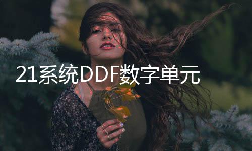 21系統(tǒng)DDF數(shù)字單元體批發(fā)!