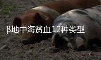 β地中海貧血12種類型