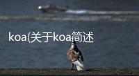 koa(關于koa簡述)