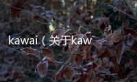 kawai（關于kawai的基本情況說明介紹）