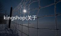 kingshop(關于kingshop簡述)