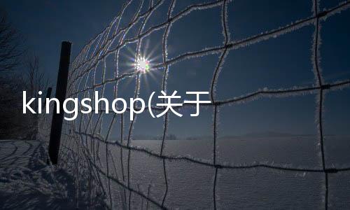 kingshop(關(guān)于kingshop簡述)