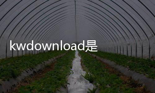 kwdownload是什么軟件（kwdownload是什么文件夾）