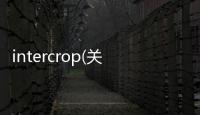 intercrop(關于intercrop簡述)