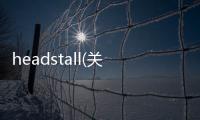 headstall(關于headstall簡述)