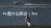 hr是什么職業（hrs）