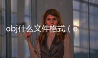 obj什么文件格式（obj格式用什么軟件打開）