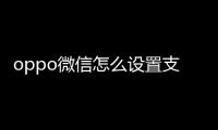 oppo微信怎么設置支付密碼（微信怎么設置支付密碼）