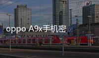 oppo A9x手機密碼忘了怎么刷機？一鍵解鎖法 極速開機