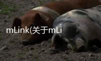 mLink(關(guān)于mLink簡(jiǎn)述)