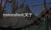 moonshot(關于moonshot簡述)