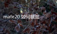 mate20 如何截圖（華為mate20如何截屏華為mate20截圖方法）