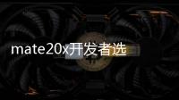 mate20x開發(fā)者選項(xiàng)開啟USB調(diào)試