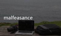 malfeasance(關于malfeasance簡述)