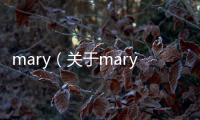 mary（關于mary的基本情況說明介紹）