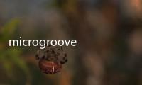 microgroove(關于microgroove簡述)