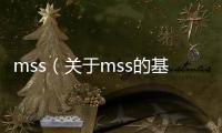 mss（關于mss的基本情況說明介紹）