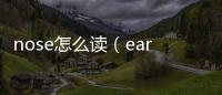 nose怎么讀（ear怎么讀）