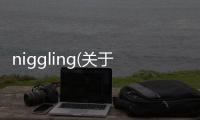 niggling(關于niggling簡述)