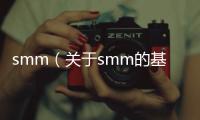 smm（關于smm的基本情況說明介紹）