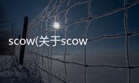 scow(關于scow簡述)