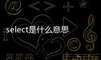 select是什么意思英語（select是什么意思）