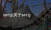 secg(關(guān)于secg簡述)