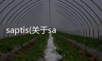 saptis(關于saptis簡述)