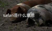 safari是什么意思safari是出去逛