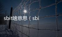 sbit啥意思（sbitch5什么意思）