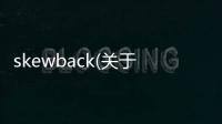 skewback(關于skewback簡述)