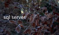 sql server 2012安裝包軟件介紹（sql server 2012安裝包）