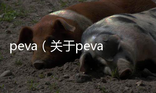 peva（關于peva的基本情況說明介紹）