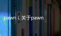 pawn（關于pawn的基本情況說明介紹）